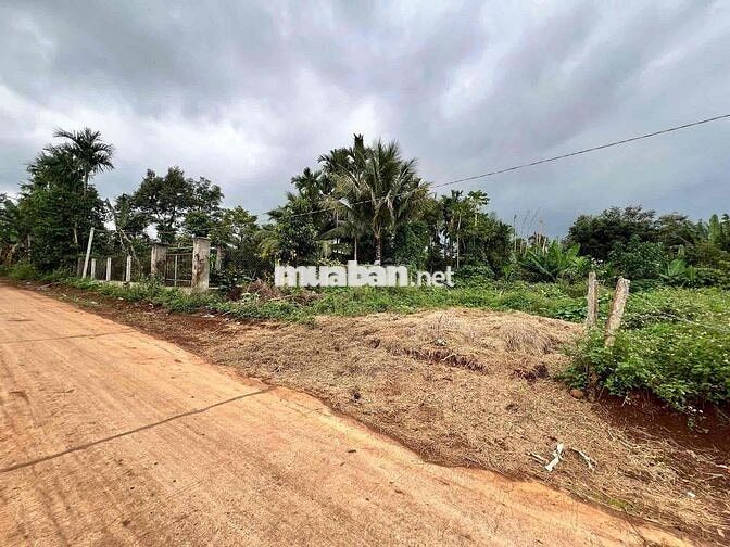 200m2 ĐẤT THỔ CƯ TẠI BUÔN YẾ KM23 QL26
