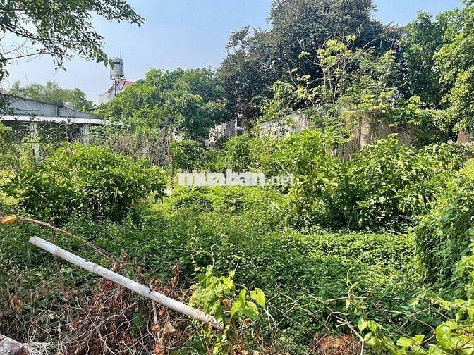 Đất nở hậu 428,8m2, hẻm xe hơi đường Đại Lộ Bình Dương