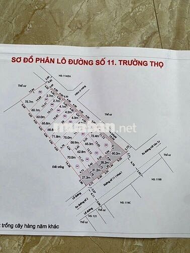 🔥 TRẢ GIÁ LÀ BÁN! ĐẤT NỀN ĐẸP KHU PHÂN LÔ ĐỒNG BỘ TRƯỜNG THỌ 6.3 TỶ 🔥