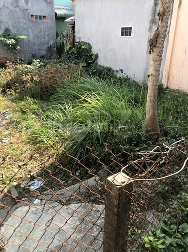 Bán đất chợ Quy Đức, QL 50, Bình Chánh