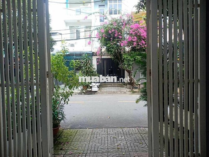 Cho Thuê Mặt Bằng/VP Tầng Trệt, mặt tiền đường số, Quận 7