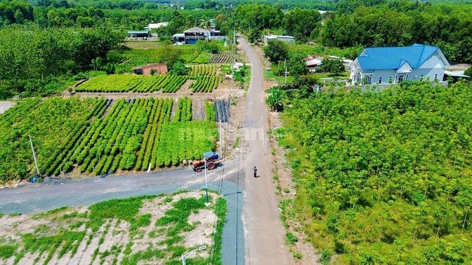 Chủ ngộp ngân hàng cần ra gấp lô đất ngay DT749B Minh Hưng Chơn Thành