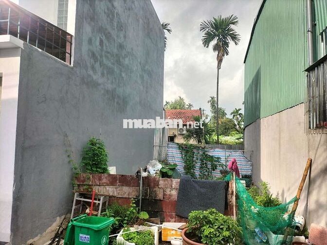  🆘🆘 giá rẻ giật mình bình nhâm 2ty069t đường thông ôtô phải nhanh ạ