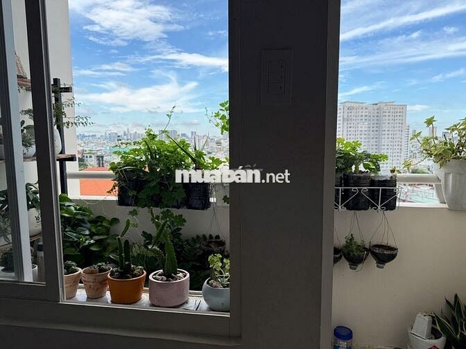 CHÍNH CHỦ GỬI BÁN CĂN HỘ 584 SACOMREAL LŨY BÁN BÍCH 