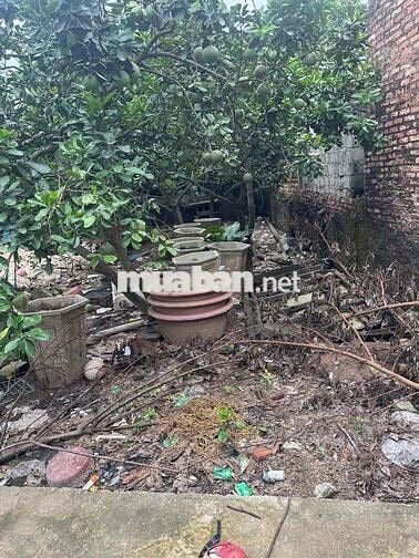 🔥 76,4m Đan Kim - Liên Nghĩa 🔥 Cạnh quán Coffee ngon số 1 Văn Giang