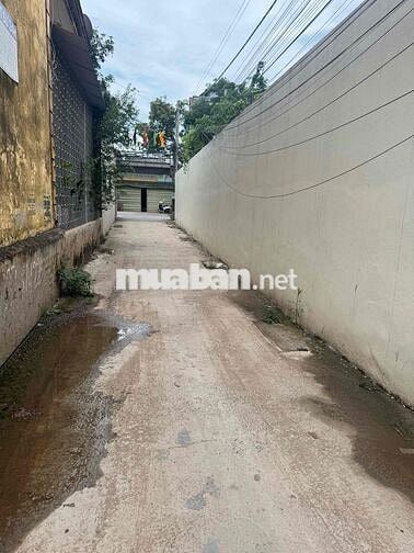 🔥 76,4m Đan Kim - Liên Nghĩa 🔥 Cạnh quán Coffee ngon số 1 Văn Giang