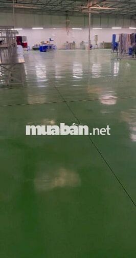 Kho Hoàng Quốc Việt cho thuê 1400m2 sàn epoxy container hoạt động 24/7