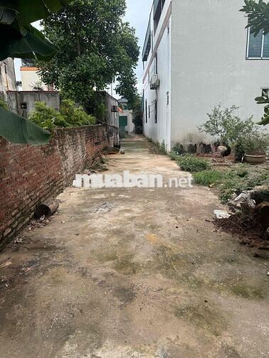 🔥 76,4m Đan Kim - Liên Nghĩa 🔥 Cạnh quán Coffee ngon số 1 Văn Giang