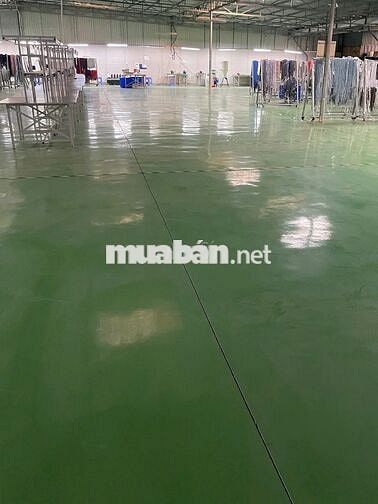 Kho Hoàng Quốc Việt cho thuê 1400m2 sàn epoxy container hoạt động 24/7