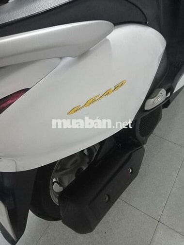 Honda Lead Trắng