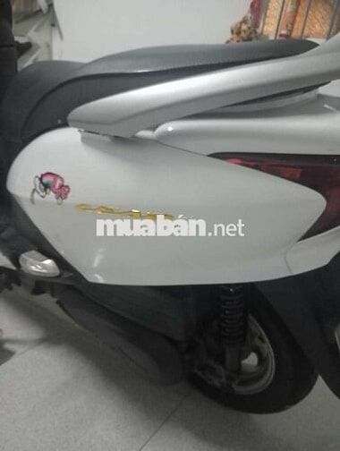 Honda Lead Trắng