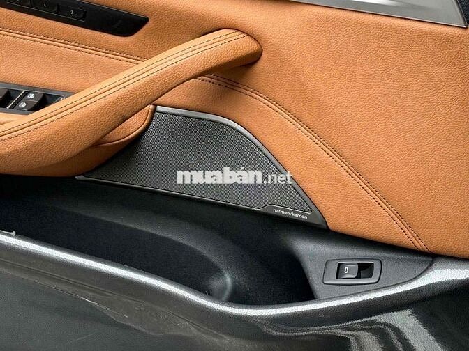 BMW 530i Luxury Line 2019 - xe nguyên bản 100%