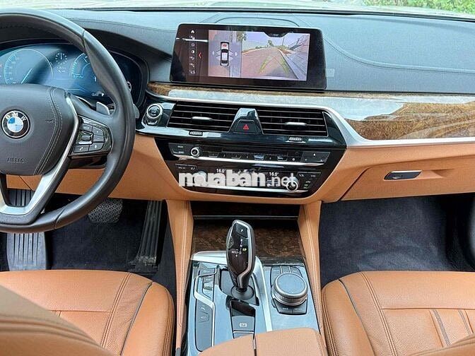 BMW 530i Luxury Line 2019 - xe nguyên bản 100%