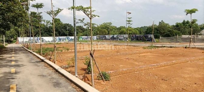 MỞ BÁN 29 LÔ ĐẤT ĐẸP TRUNG TÂM THỊ XÃ SƠN TÂY 🌿 Giá 1,4 tỷ - 1,6 tỷ ,
