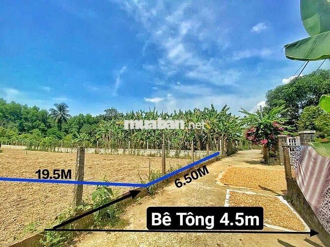 Thôn Thái Lai - xã Hoà nhơn ( cũ ). Thuộc xã Bà nà mới