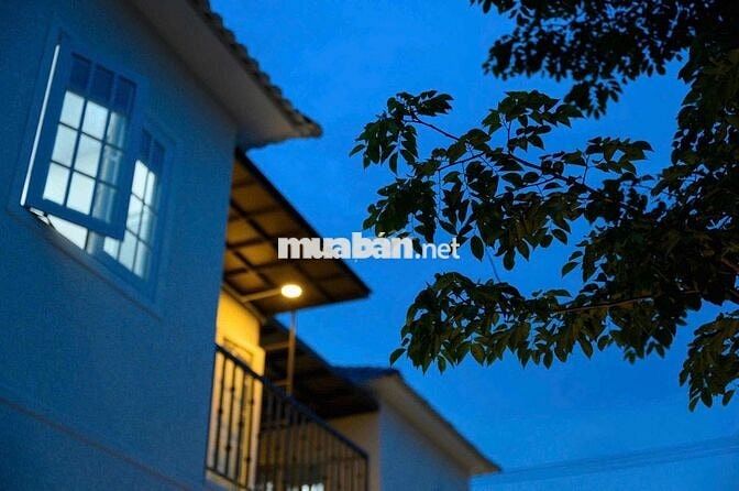 Cho thuê nhà biệt thự sân vườn có hồ hơi