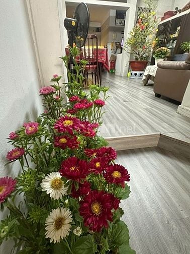 Hàng hiếm, mặt tiền đường số Chu Văn An, DT 4x18m, giáp Quận 1