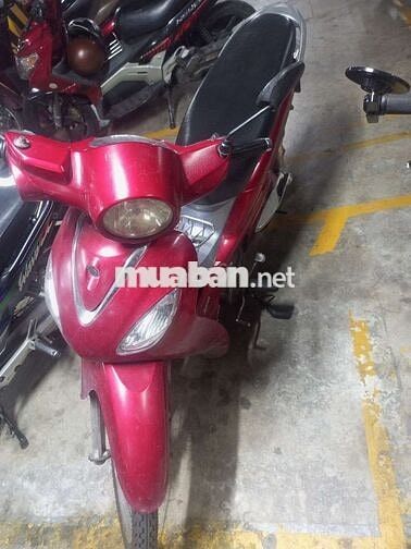 SYM Angela 100cc Đỏ