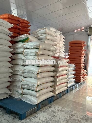 VỰA GẠO TUYỂN BỐC VÁC, GIAO HÀNG GẠO