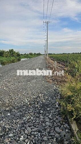 500m2 mặt tiền đường nhựa 1ty700