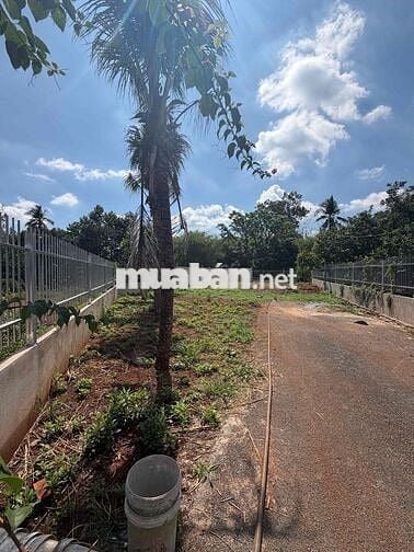 400m2 ĐẤT THỔ CƯ , XÂY NHÀ VƯỜN