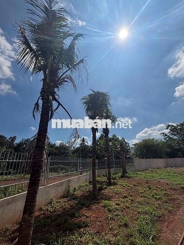 400m2 ĐẤT THỔ CƯ , XÂY NHÀ VƯỜN
