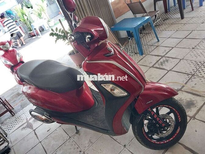 grande fi bstp chứng giấy 