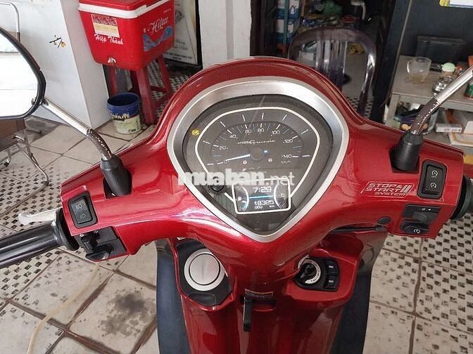 grande fi bstp chứng giấy 