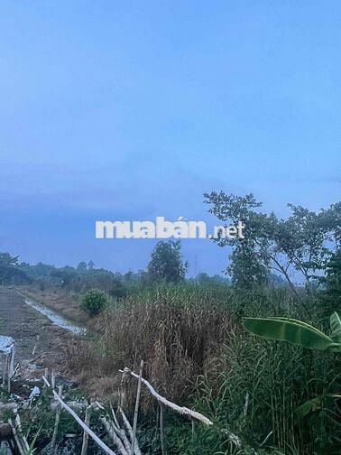 Bán Đất Làm Vườn, Đất Mặt Tiền