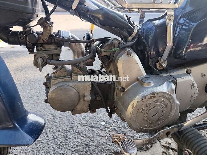 Cup Custom 70cc bstp