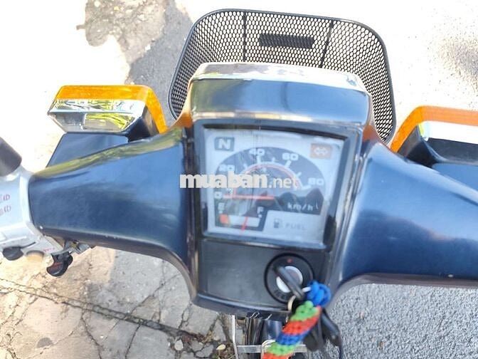 Cup Custom 70cc bstp