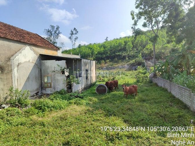 Thông báo đấu giá tài sản của ông Trương Văn Cường & bà Nguyễn Thị Mến