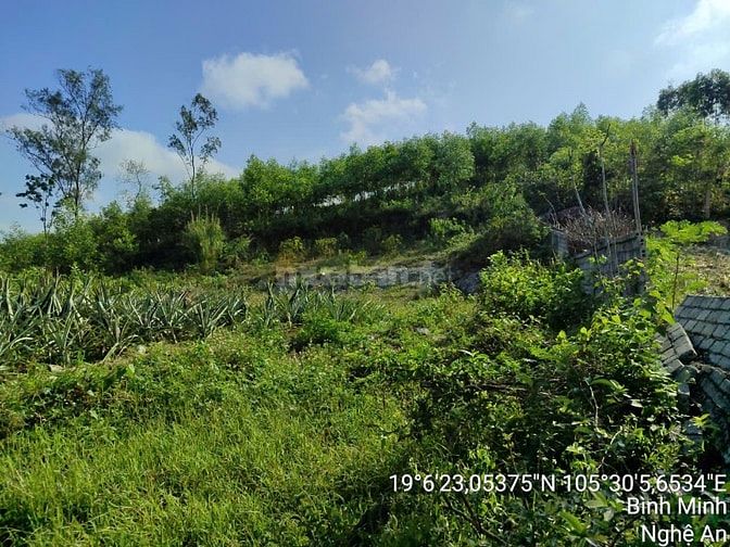 Thông báo đấu giá tài sản của ông Trương Văn Cường & bà Nguyễn Thị Mến