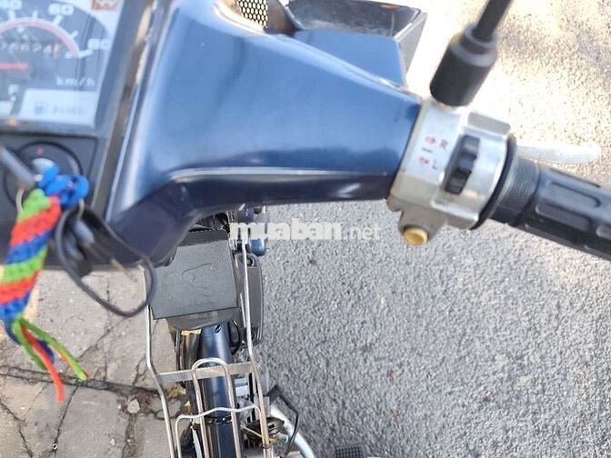 Cup Custom 70cc bstp