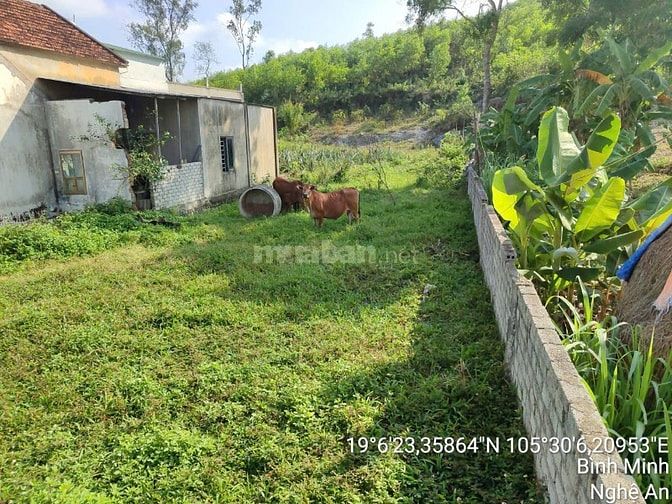 Thông báo đấu giá tài sản của ông Trương Văn Cường & bà Nguyễn Thị Mến
