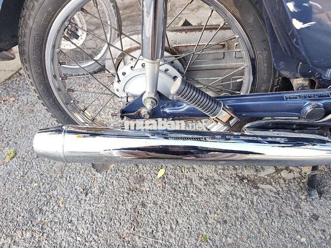 Cup Custom 70cc bstp