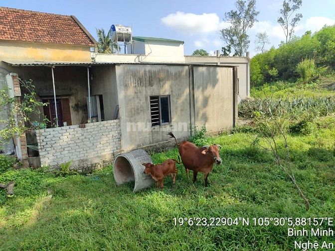 Thông báo đấu giá tài sản của ông Trương Văn Cường & bà Nguyễn Thị Mến