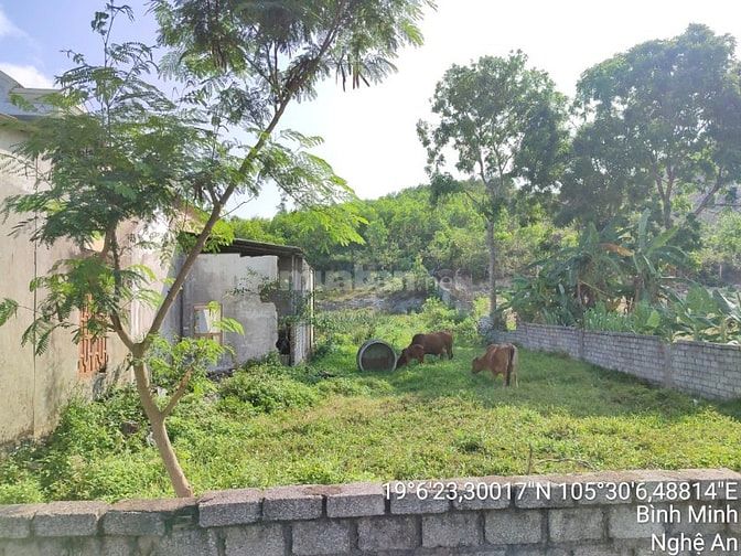 Thông báo đấu giá tài sản của ông Trương Văn Cường & bà Nguyễn Thị Mến