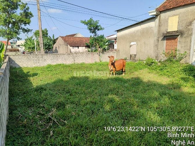 Thông báo đấu giá tài sản của ông Trương Văn Cường & bà Nguyễn Thị Mến