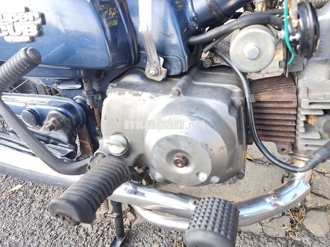 Cup Custom 70cc bstp
