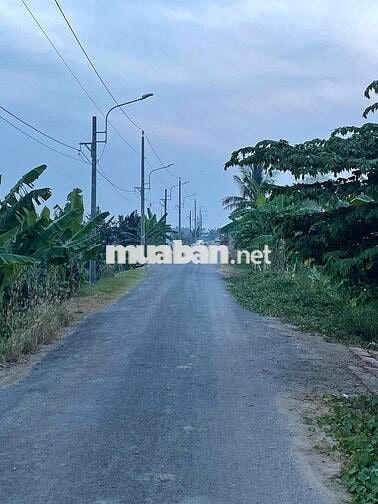 Bán Đất Làm Vườn, Đất Mặt Tiền