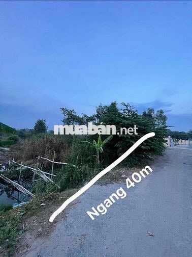 Bán Đất Làm Vườn, Đất Mặt Tiền