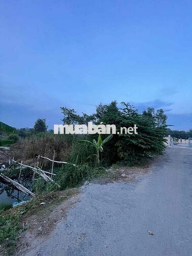 Bán Đất Làm Vườn, Đất Mặt Tiền