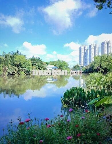 phòng 15m2 ( có sân thượng, có sân vườn sát sông cực kì thoải mái  ) 