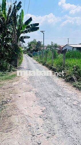 CHÍNH CHỦ CẦN BÁN NHÀ VƯỜN 656M²