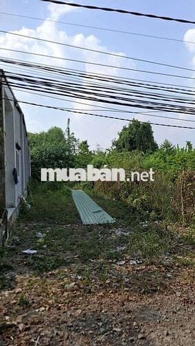 bán đất tại khu công nghiệp Phước Đông