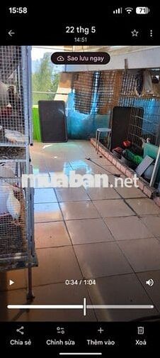 phòng 15m2 ( có sân thượng, có sân vườn sát sông cực kì thoải mái  ) 