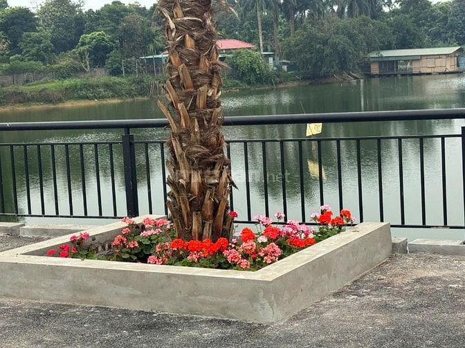 Chỉ 30 Phút Từ Hà Nội: Đất Nghỉ Dưỡng Hòa Lạc Đang Được Săn Lùng!”