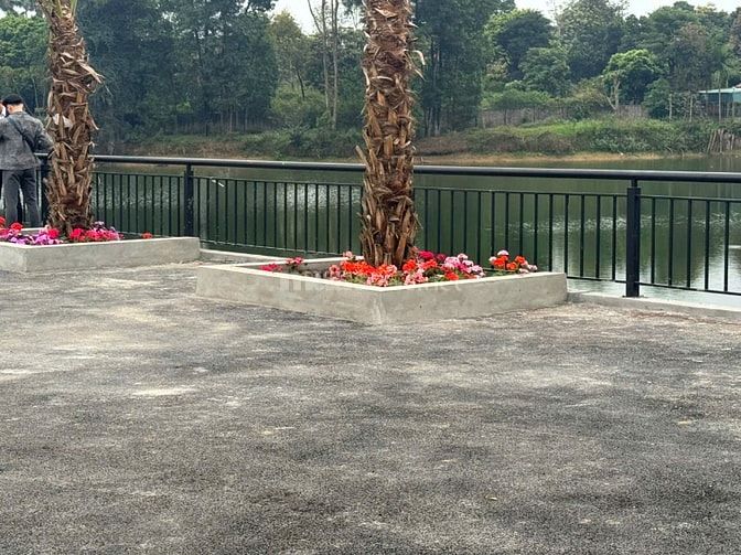 Chỉ 30 Phút Từ Hà Nội: Đất Nghỉ Dưỡng Hòa Lạc Đang Được Săn Lùng!”