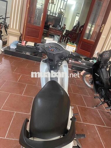 Honda Wave Alpha 2022 Trắng